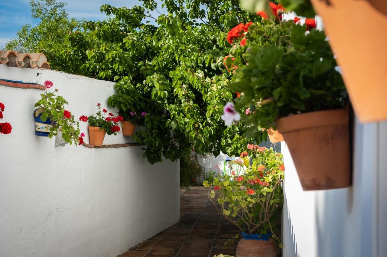 Hostal Cabo Roche Conil De La Frontera Luaran gambar